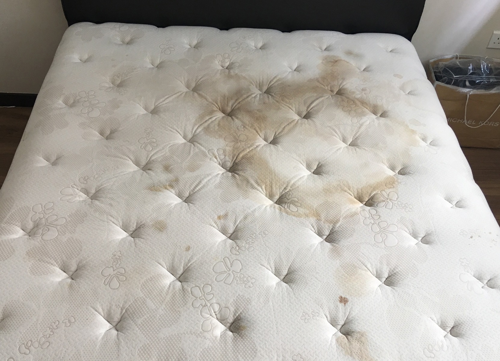 Before Mattress Cleaning